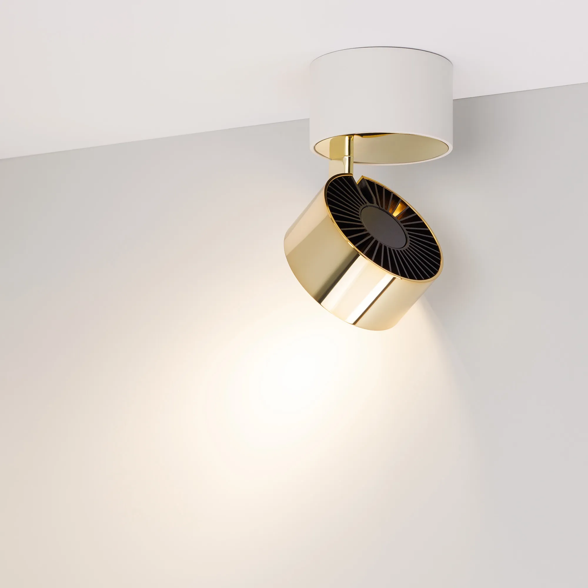 Светильник SP-PLURIO-SURFACE-R77-9W Day4000 (WH-BRS, 36 deg, 230V) (Arlight, IP20 Металл, 3 года) - Изображение
